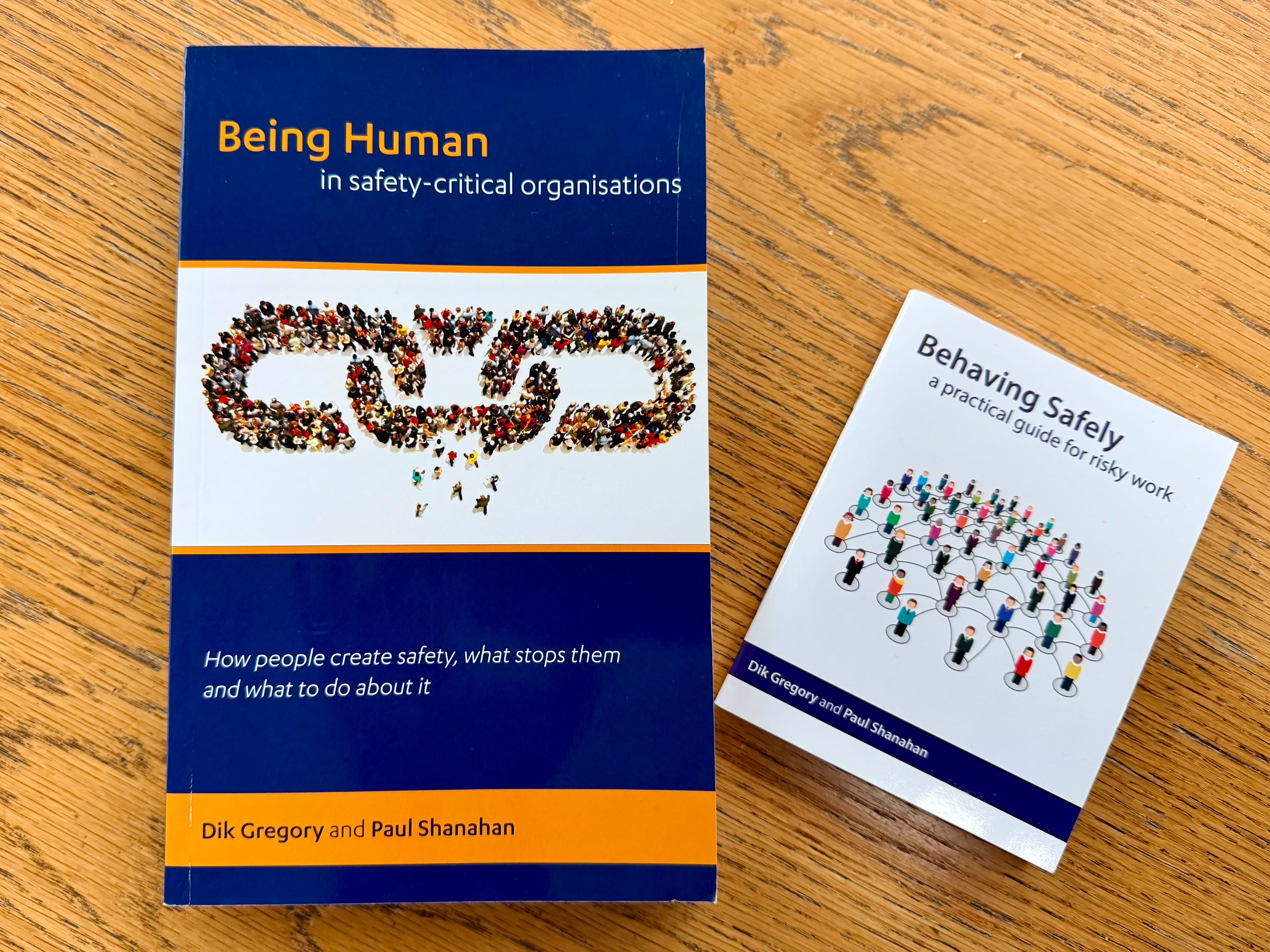 Being Human and Behaving Safely publications